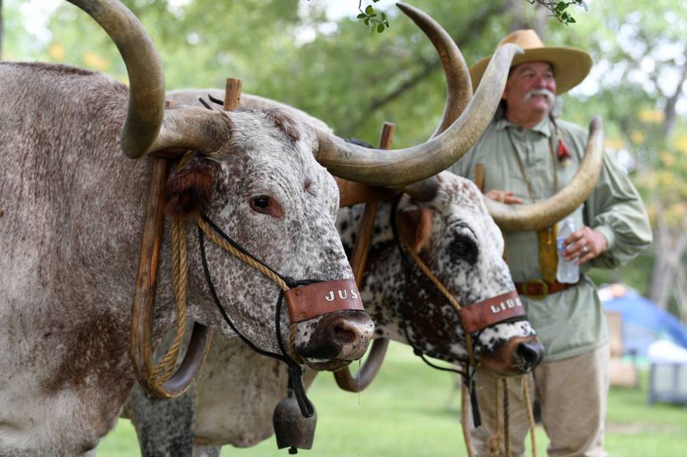 Boonville Days Stampedes, Chuckwagons, and Western Heritage Insite