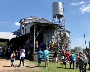 Hands On Experience Burton Cotton Gin Festival 2020 Insite