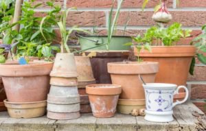 outdoor-plant-containers-300x191.jpg