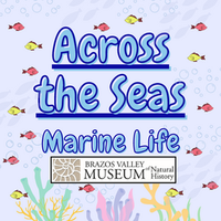 Across the Seas BVMNH (272 × 272 px)