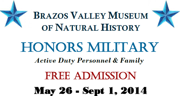 Brazos Valley Military.png