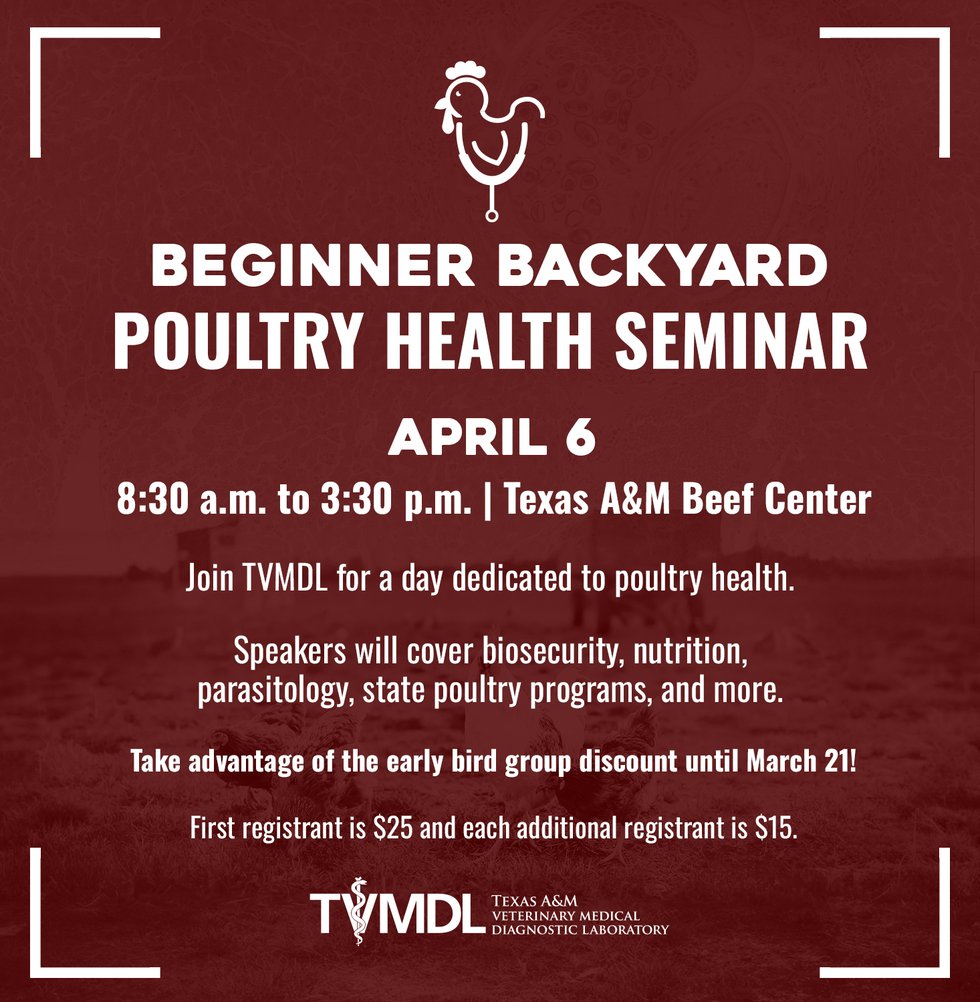 2024 Spring Beginner Backyard Poultry Seminar Email.jpg
