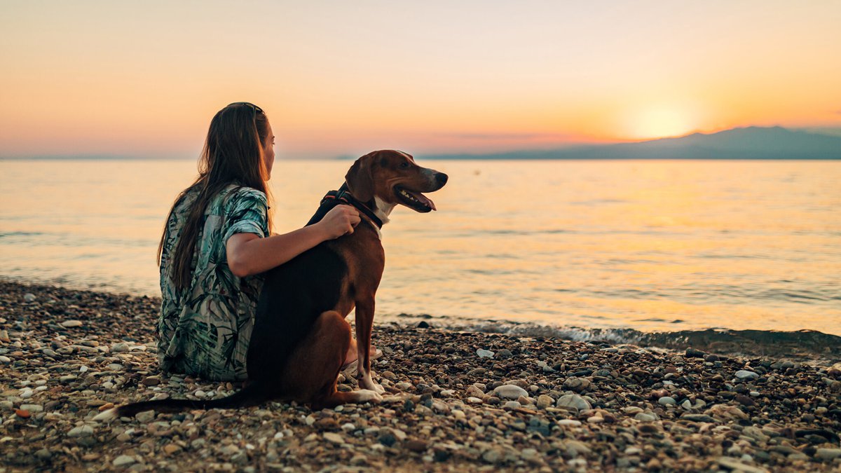 When To Say Goodbye? Survey Sheds Light On Difficult Decisions For Dog ...