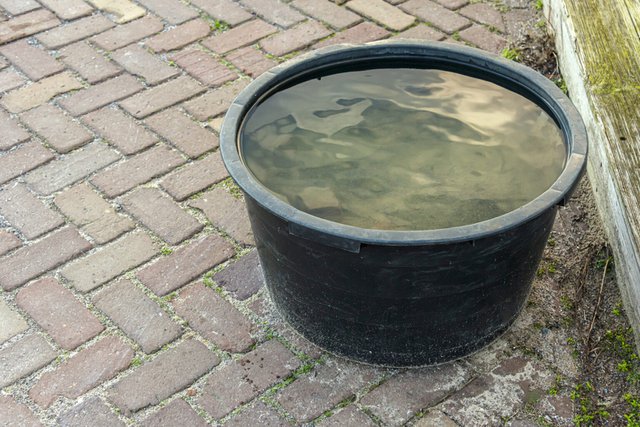 communal-water-bowl-1536x1025.jpg