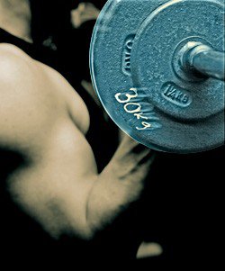training barbell gym strength