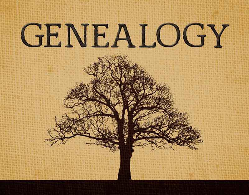 genealogy2_1152_8641-960x7501.jpg